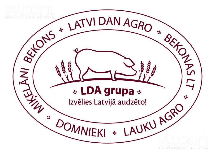LDA grupas logotips